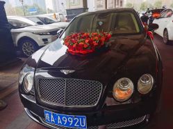 -蚂蚁婚车