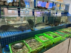 -富临港·蒸汽海鲜·手抓海鲜·炒菜(栈桥店)