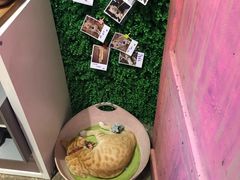 -大王油茶(磁器口店)