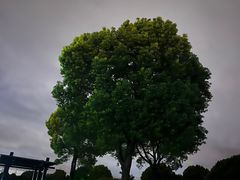 -九里河湿地公园