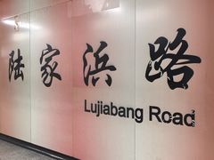 -陆家浜路(地铁站)