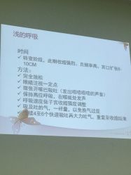 -Your Yoga Pilates·瑜伽普拉提习练室