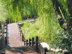 -大连植物园