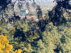 -香山公园