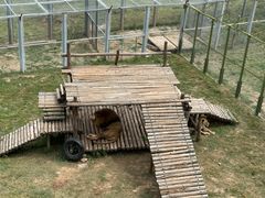 -青藏高原野生动物园