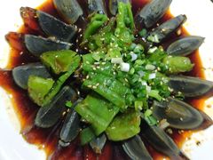 -三猫黑鱼花(南大店)