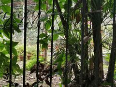 -人民公园(罗湖区)