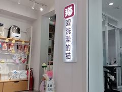 -爱洗澡的猫(望京店)