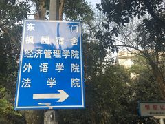 -武汉大学-樱园