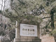 -白水寺森林公园