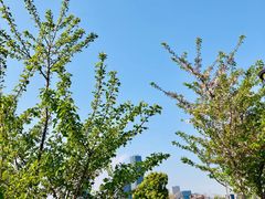 -上海山野camping·户外天幕烧烤·团建拓展营地