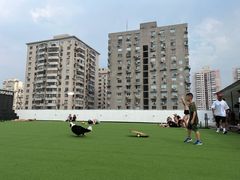 -AIRPARK爱野屋顶运动公园