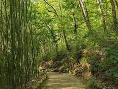 -洛阳白云山景区