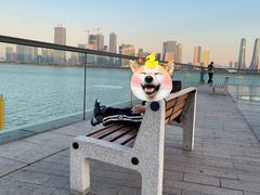 -城市阳台