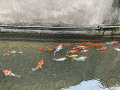 -前童古镇