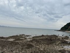 -大鹿岛