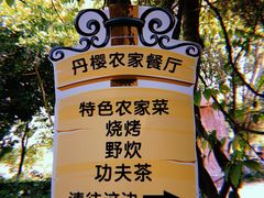 -丹樱生态园