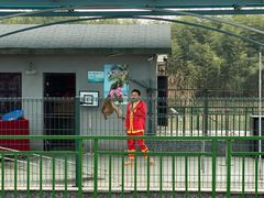 -中国扬子鳄村