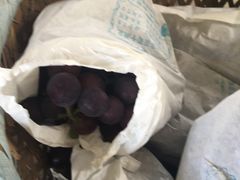 -马陆小张葡萄园农家乐