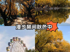 -青城公园