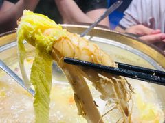 -千岛蚝高压锅生蚝·人参火锅(白云万达店)