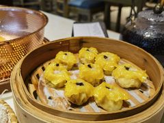 -点都德·毕德寮