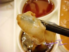 海参刺身-璞御·海鲜·雪花牛肉局(宾水西道店)
