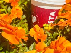 -COSTA COFFEE(上海虹口公园店)