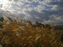 -永定河休闲森林公园