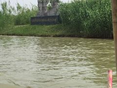 -泗洪洪泽湖湿地景区