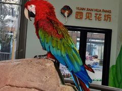 -无锡动物园·太湖欢乐园