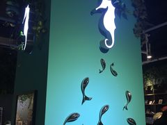 -海马体照相馆(天津世纪都会店)