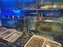 -捞围鲜·港式打边炉(海阳路店)