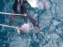 -惠州金海湾嘉华度假酒店