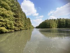 -上海海湾国家森林公园