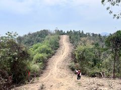 -青龙山国家森林公园