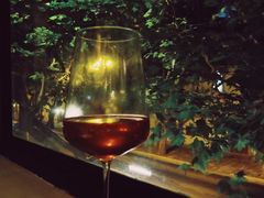 -毛辣果·酸(OHA复兴西路店)