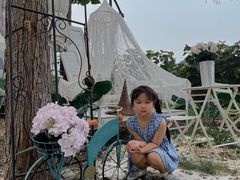 -安德鲁户外烧烤帐篷营地(马泉营店)