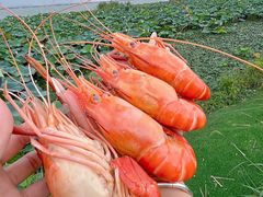 -七的湖·晚芳亭·阳澄湖农家菜·大闸蟹(莲花岛店)