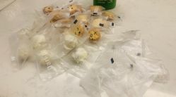 -怡水桐阁 皮肤管理中心