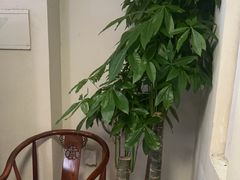 -张钰强中医正骨推拿连锁(华发商都店)