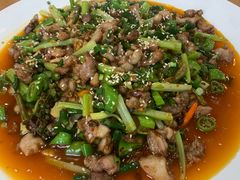-功夫兔