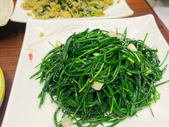 -靖远尕六美味羊羔肉