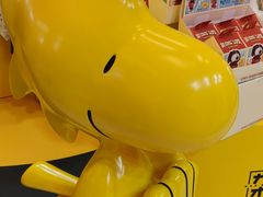 -九木杂物社(中心店)