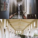 蓬莱旅游：适合度假的蓬莱君顶酒庄