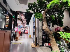 -松子料理(亮马桥店)
