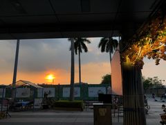 -千岛蚝高压锅生蚝·人参火锅(白云万达店)