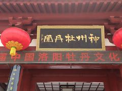 -神州牡丹园