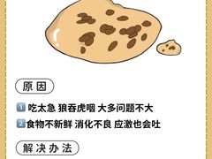 -睿金宠物医院·CT·肿瘤·骨外科