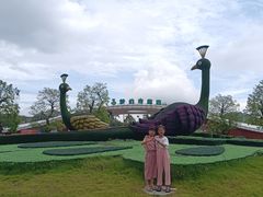 -恒大世纪梦幻城